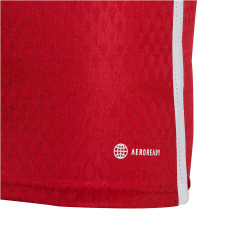 adidas Tiro 23 Competition Match Trikot Kinder AEPU - tepore/white 116