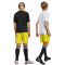 adidas Entrada 22 Fu&szlig;ball Shorts Kinder ADF7 - tmyell 116