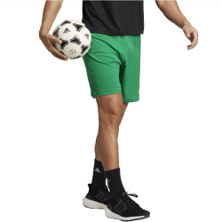 adidas Entrada 22 Fußball Shorts Herren IC7405 - team green M