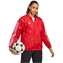 adidas Tiro 23 Competition Pr&auml;sentationsjacke Damen AEPU - tepore XS