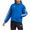 adidas Tiro 23 Competition Baumwoll Hoodie Damen AD8R - royblu XS