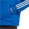 adidas Tiro 23 Competition Baumwoll Hoodie Damen AD8R - royblu XS