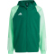 adidas Tiro 23 Competition Allwetterjacke Herren AD8T - drkgrn/beamgr XS