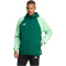 adidas Tiro 23 Competition Allwetterjacke Herren AD8T - drkgrn/beamgr XS