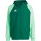 adidas Tiro 23 Competition Allwetterjacke Herren AD8T - drkgrn/beamgr S