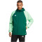 adidas Tiro 23 Competition Allwetterjacke Herren AD8T - drkgrn/beamgr S