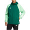adidas Tiro 23 Competition Allwetterjacke Herren AD8T - drkgrn/beamgr S