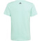adidas Essentials Linear Logo Cotton Slim Fit T-Shirt Kinder A9MS - easgrn/black 170