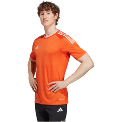 adidas Campeon 23 Trikot Herren ADCY - teaora XS