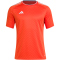 adidas Campeon 23 Trikot Herren ADCY - teaora XS