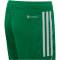 adidas Tiro 23 League Trainingsshorts Kinder ADCZ - teagrn/white 164
