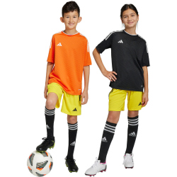 adidas Tiro 23 League Trainingsshorts Kinder ADF7 - tmyell/black 116
