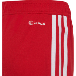 adidas Tiro 23 League Trainingsshorts Kinder AEPU - tepore/white 164