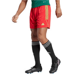 adidas Tiro 23 League Fußballshorts Herren ADF5 - tmcord/teassg S