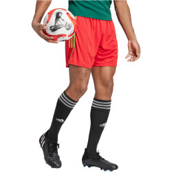 adidas Tiro 23 League Fußballshorts Herren ADF5 - tmcord/teassg S