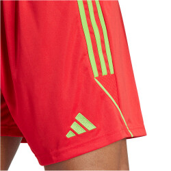 adidas Tiro 23 League Fußballshorts Herren ADF5 - tmcord/teassg S