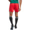 adidas Tiro 23 League Fußballshorts Herren ADF5 - tmcord/teassg S