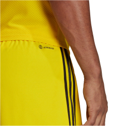 adidas Tiro 23 League Fu&szlig;ballshorts Herren ADF7 - tmyell/black XL