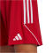 adidas Tiro 23 League Fu&szlig;ballshorts Herren AEPU - tepore/white S