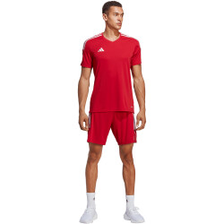 adidas Tiro 23 League Fußballshorts Herren AEPU - tepore/white XXL