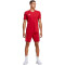 adidas Tiro 23 League Fußballshorts Herren AEPU - tepore/white XXL