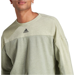 adidas Mélange Sweatshirt Herren AEY9 - olstme/legrme S
