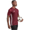 adidas Tabela 23 Fußball Trikot Herren IB4928 - team maroon 2/white XS