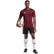 adidas Tabela 23 Fußball Trikot Herren IB4928 - team maroon 2/white XXL