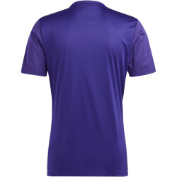 adidas Tabela 23 Fußball Trikot Herren ADF2 - tmcopr/white 3XL