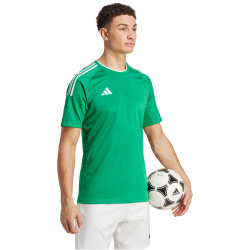adidas Campeon 23 Trikot Herren ADCZ - teagrn XS