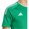 adidas Campeon 23 Trikot Herren ADCZ - teagrn XS