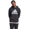 adidas Essentials Big Logo Hoodie Herren 095A - black M