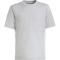 adidas Tabela 23 Fu&szlig;ball Trikot Kinder IA9153 - team light grey/white 116
