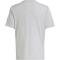 adidas Tabela 23 Fu&szlig;ball Trikot Kinder IA9153 - team light grey/white 116