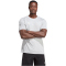 adidas Tabela 23 Fu&szlig;ball Trikot Herren IA9143 - team light grey/white S