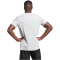 adidas Tabela 23 Fu&szlig;ball Trikot Herren IA9143 - team light grey/white S