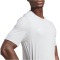 adidas Tabela 23 Fu&szlig;ball Trikot Herren IA9143 - team light grey/white S