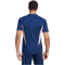 adidas Ajax Amsterdam Tiro 23 Trainingstrikot Herren 54F0 - conavy/clemin L