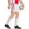 adidas Ajax Amsterdam Heimshorts 2023/24 Herren 001A - white S