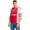 adidas Ajax Amsterdam Heimtrikot 2023/24 Herren 001A - white/bolred XXL