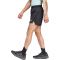 adidas TERREX Multi Trailrunning-Laufshorts Herren 095A - black S/5"