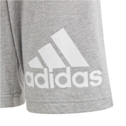 adidas Essentials Big Logo Cotton Sweatshorts Kinder 83F7 - mgreyh/white 128