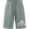 adidas Essentials Big Logo Cotton Sweatshorts Kinder 83F7 - mgreyh/white 128