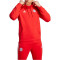 adidas FC Bayern München DNA Hoodie Herren 013A - red XXL