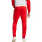 adidas FC Bayern M&uuml;nchen DNA Jogginghose Herren 013A - red S