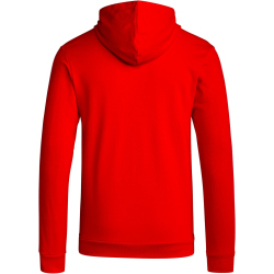 adidas FC Bayern München DNA Kapuzenjacke Herren 013A - red S