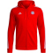 adidas FC Bayern München DNA Kapuzenjacke Herren 013A - red S