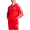 adidas FC Bayern München DNA Kapuzenjacke Herren 013A - red S