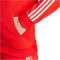 adidas FC Bayern München DNA Kapuzenjacke Herren 013A - red S
