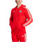 adidas FC Bayern München DNA Kapuzenjacke Herren 013A - red M